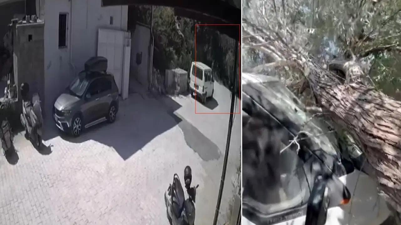 Evin avlusundaki agac kamyonetin uzerine devrildi 3BPGR6Yc